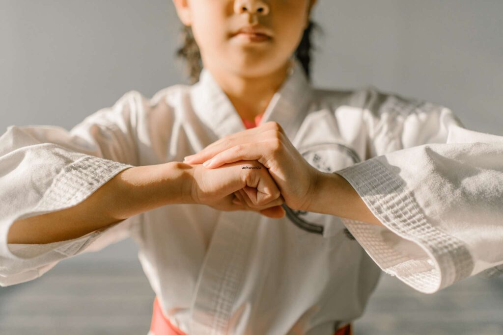 Taekwondo Forms Lee s Martial Arts Academy Taekwondo Forms Lee s Martial Arts Academy